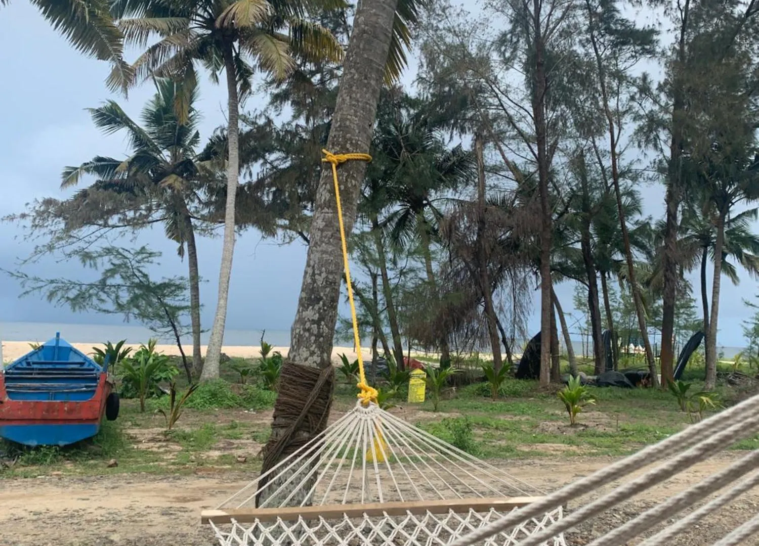 Bed & Breakfast Shoreline Marari Beach Villa At Golden Beach Mararikulam India
